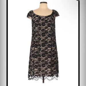 Coldwater Creek Champagne and Black Lace Elegabt dress